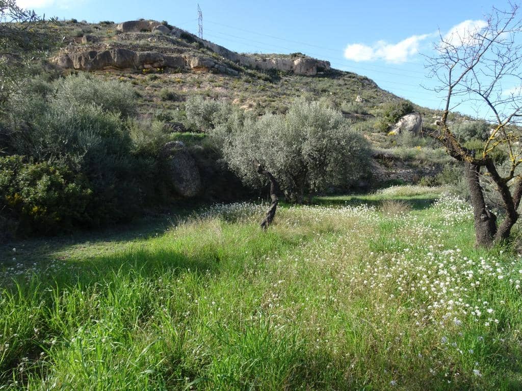 Finca/Herregård til salgs i Vinebre - € 15 000 (Ref: 9953439)