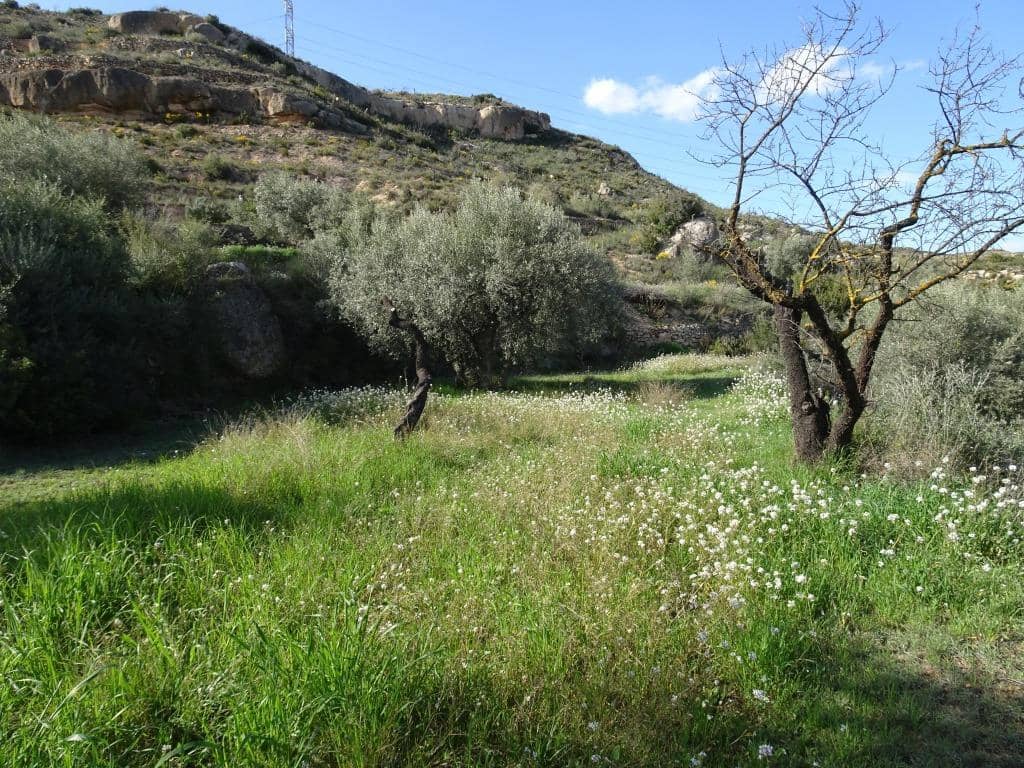 Finca/Herregård til salgs i Vinebre - € 15 000 (Ref: 9953439)