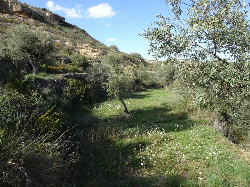 Finca/Herregård til salgs i Vinebre - € 15 000 (Ref: 9953439)