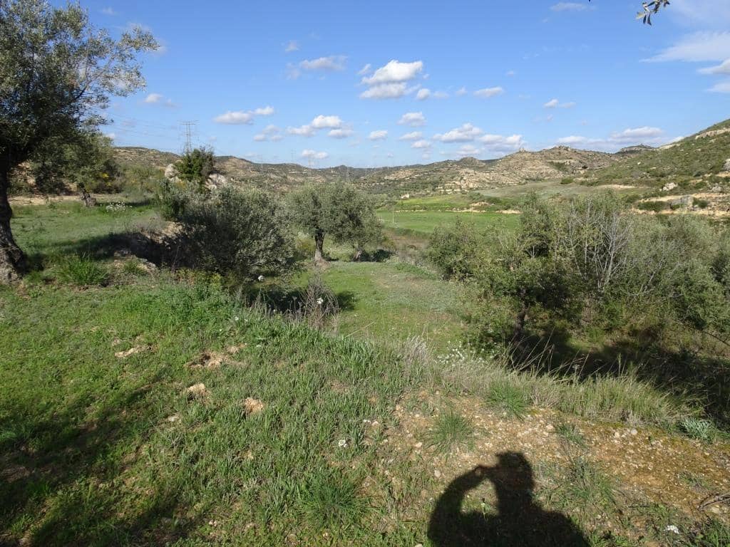 Finca/Herregård til salgs i Vinebre - € 15 000 (Ref: 9953439)
