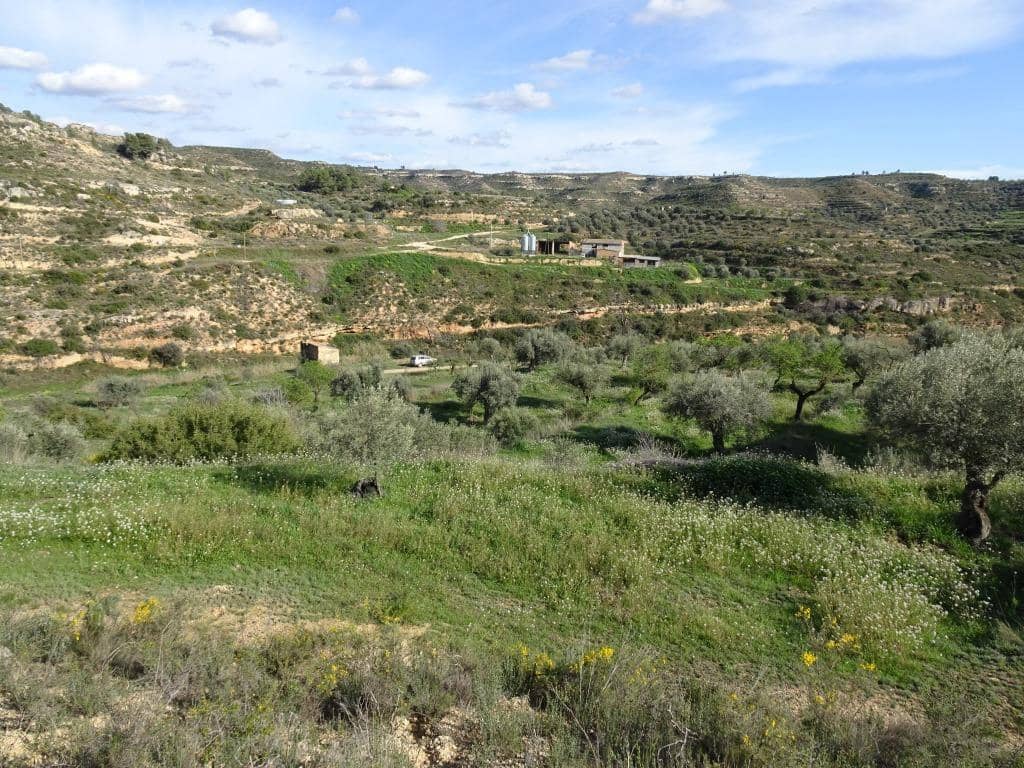 Finca/Herregård til salgs i Vinebre - € 15 000 (Ref: 9953439)
