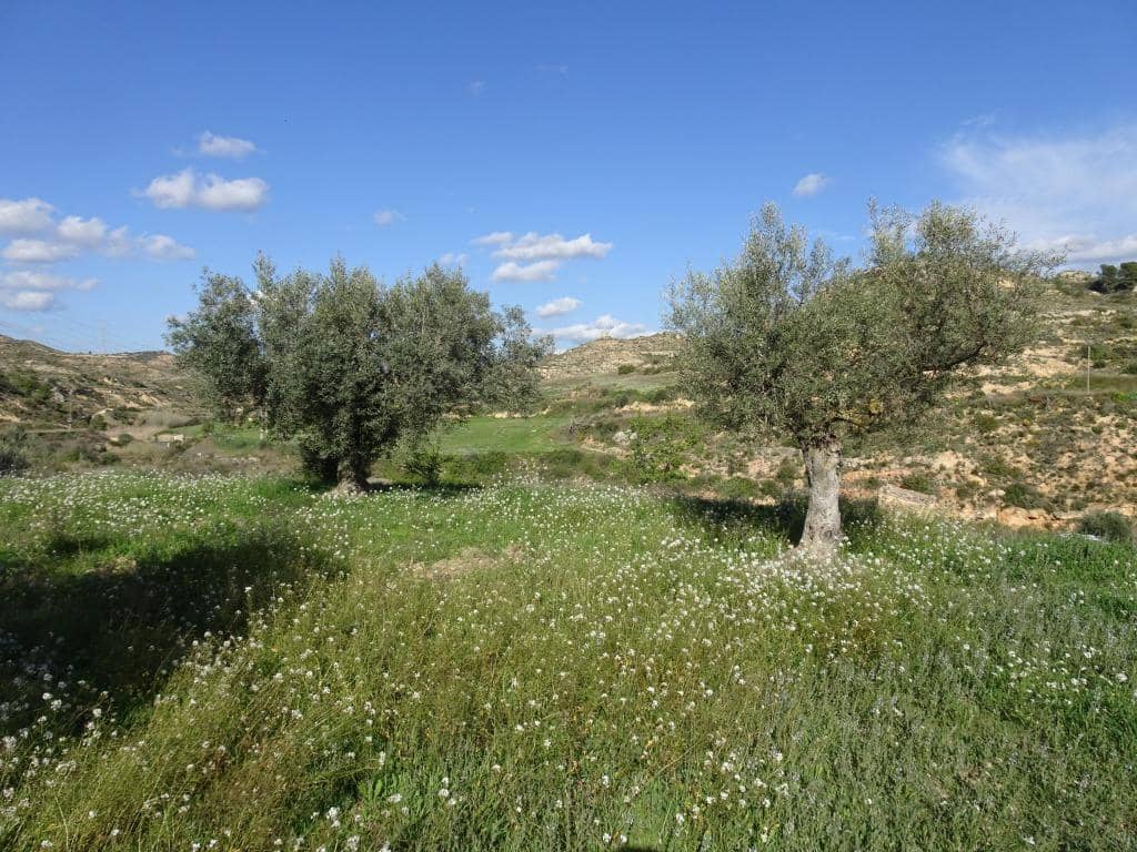 Finca/Herregård til salgs i Vinebre - € 15 000 (Ref: 9953439)