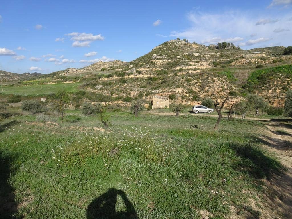 Finca/Herregård til salgs i Vinebre - € 15 000 (Ref: 9953439)