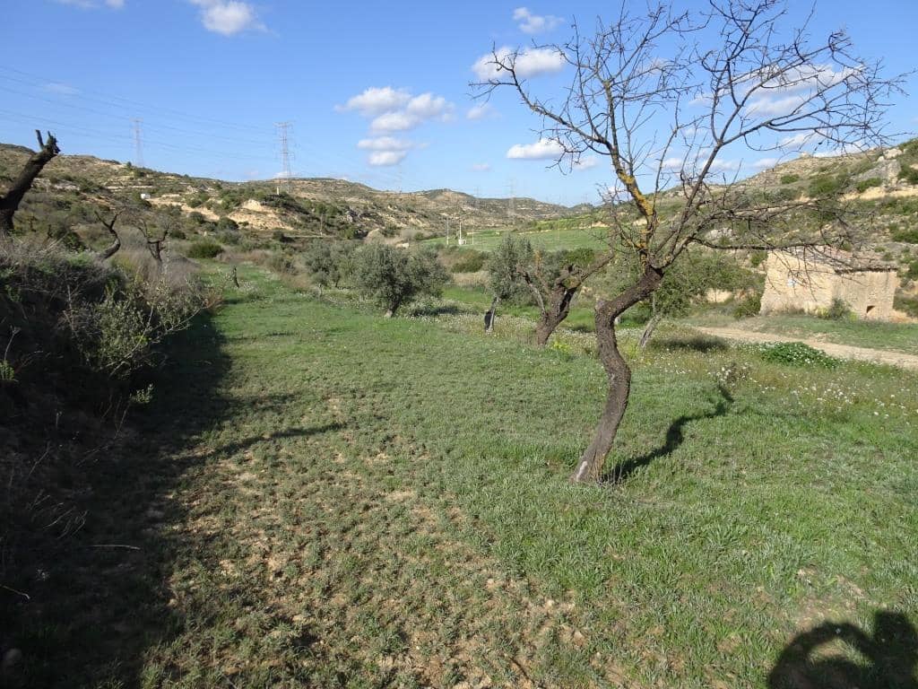 Finca/Herregård til salgs i Vinebre - € 15 000 (Ref: 9953439)