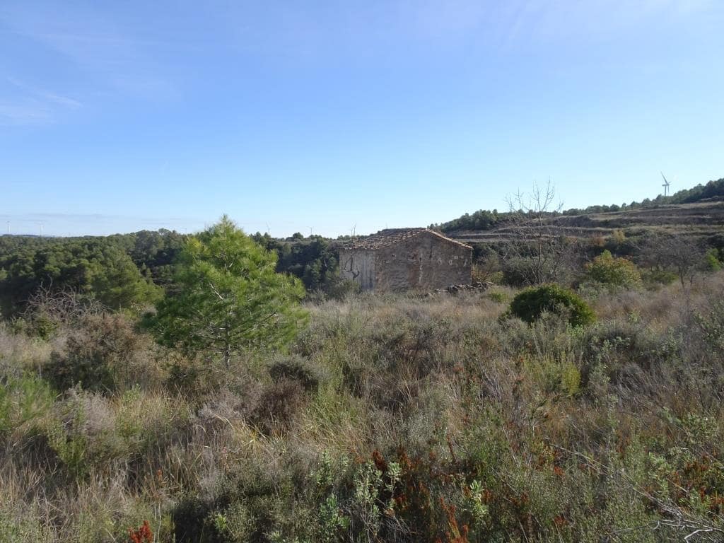 Finca/Country House for sale in Batea - € 18,000 (Ref: 9956233)