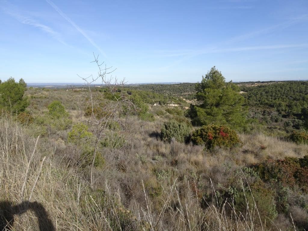 Finca/Country House for sale in Batea - € 18,000 (Ref: 9956233)
