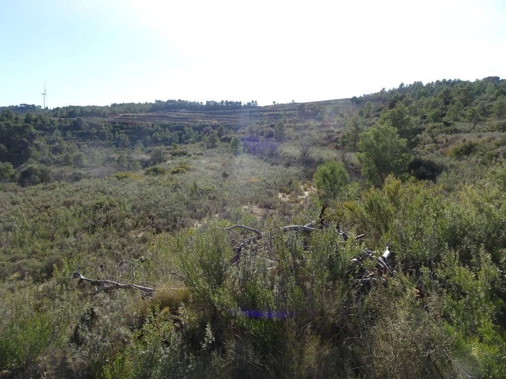 Finca/Country House for sale in Batea - € 18,000 (Ref: 9956233)
