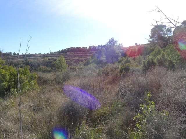 Finca/Herregård til salgs i Batea - € 18 000 (Ref: 9956233)
