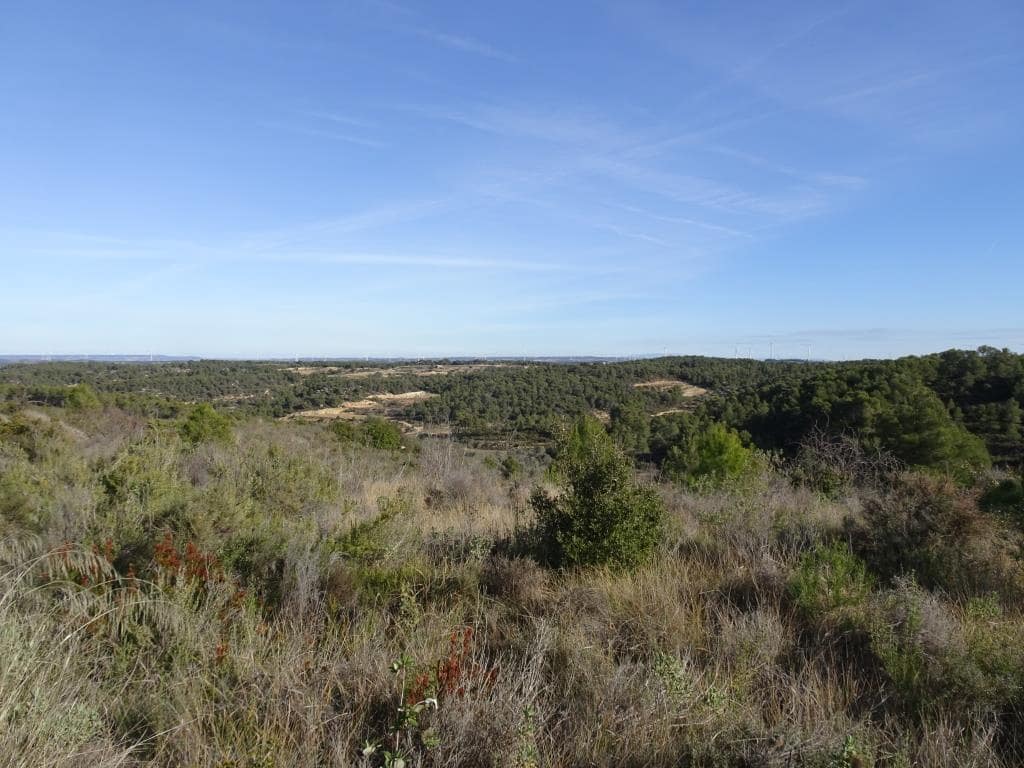 Finca/Country House for sale in Batea - € 18,000 (Ref: 9956233)
