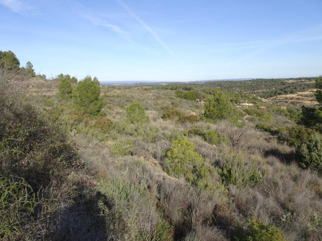 Finca/Country House for sale in Batea - € 18,000 (Ref: 9956233)