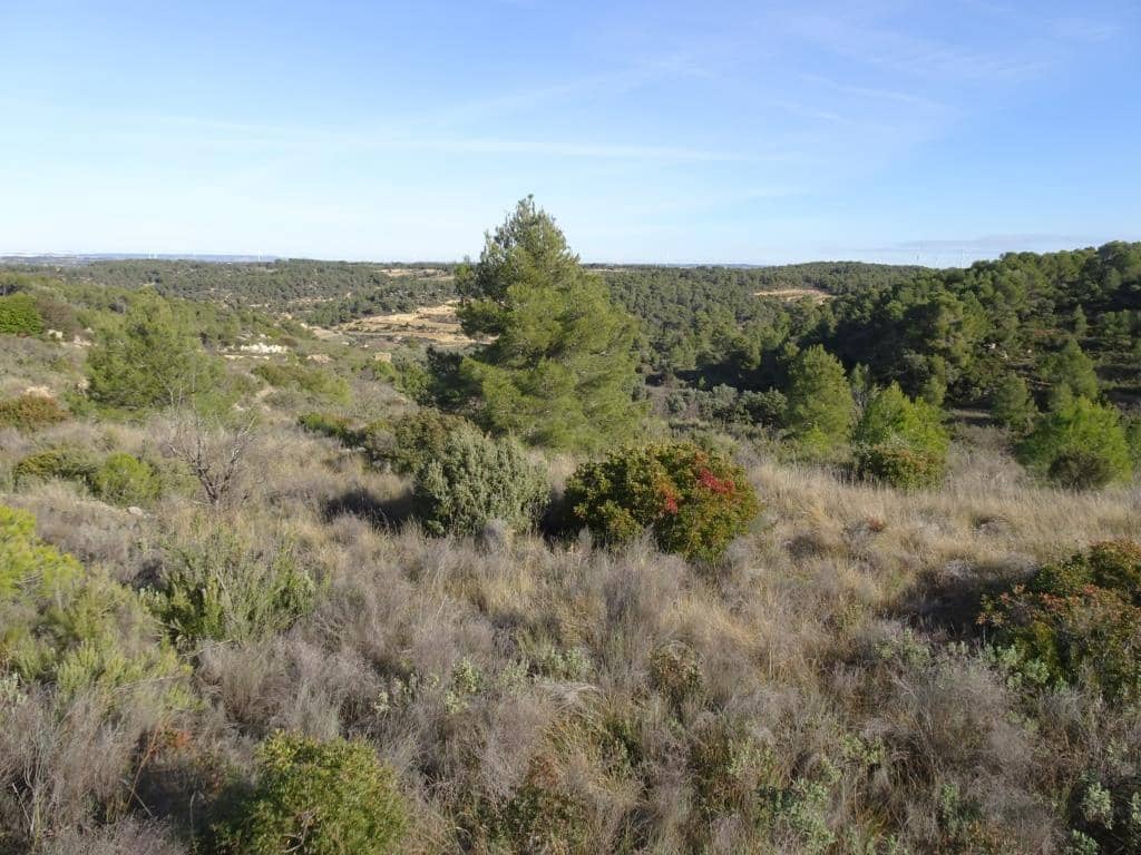 Finca/Country House for sale in Batea - € 18,000 (Ref: 9956233)