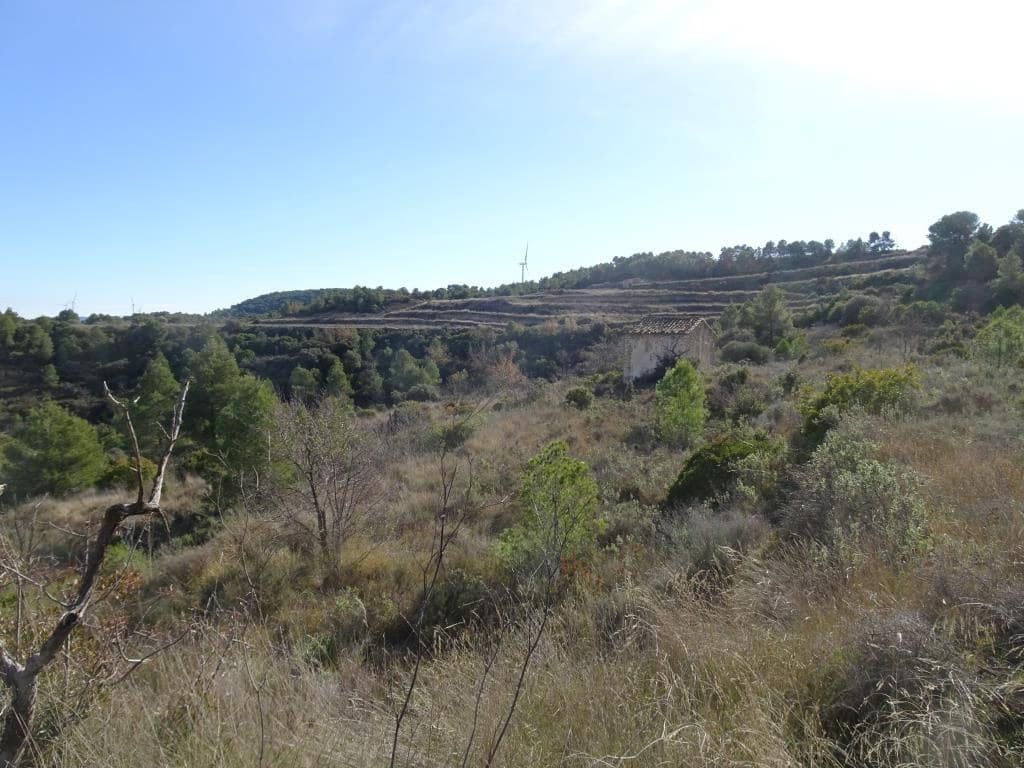 Finca/Country House for sale in Batea - € 18,000 (Ref: 9956233)