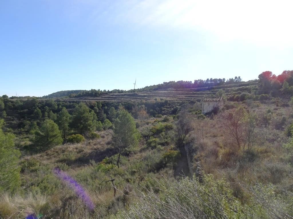 Finca/Country House for sale in Batea - € 18,000 (Ref: 9956233)