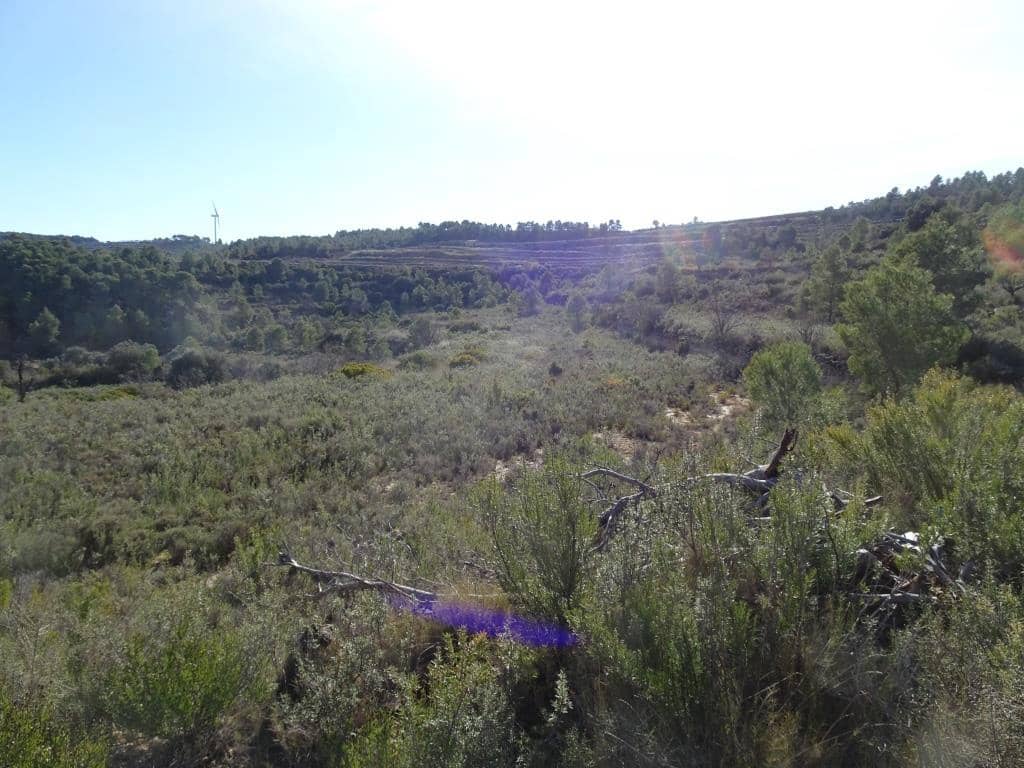 Finca/Country House for sale in Batea - € 18,000 (Ref: 9956233)