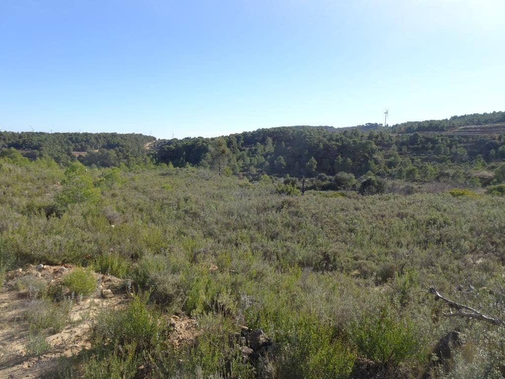 Finca/Country House for sale in Batea - € 18,000 (Ref: 9956233)