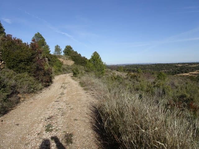 Finca/Herregård til salgs i Batea - € 18 000 (Ref: 9956233)