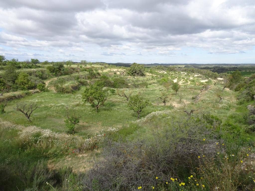 Finca/Country House for sale in Batea - € 18,000 (Ref: 9958432)
