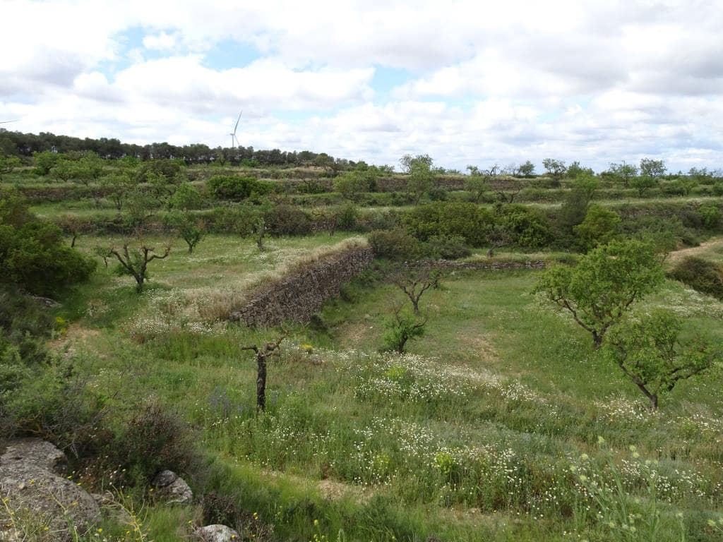 Finca/Country House for sale in Batea - € 18,000 (Ref: 9958432)