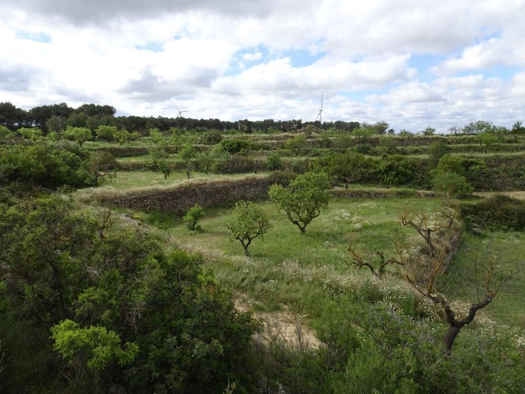 Finca/Country House for sale in Batea - € 18,000 (Ref: 9958432)