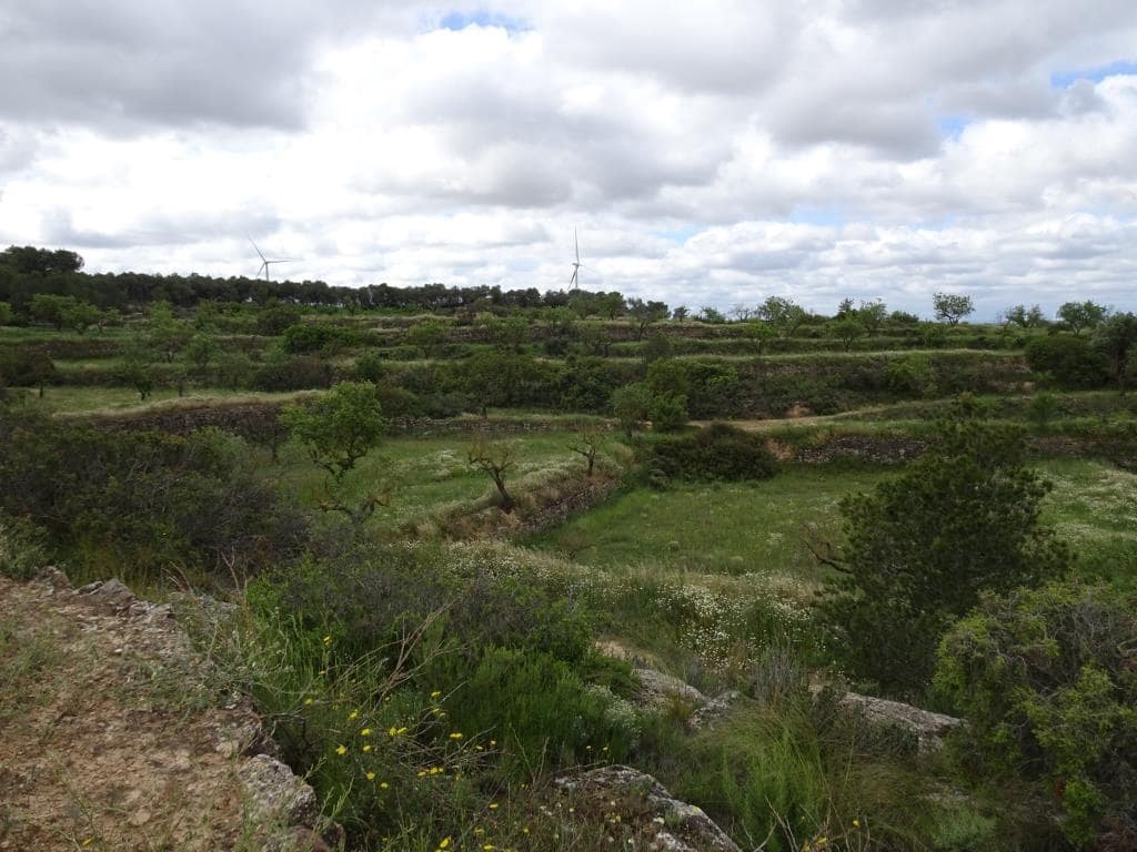 Finca/Country House for sale in Batea - € 18,000 (Ref: 9958432)
