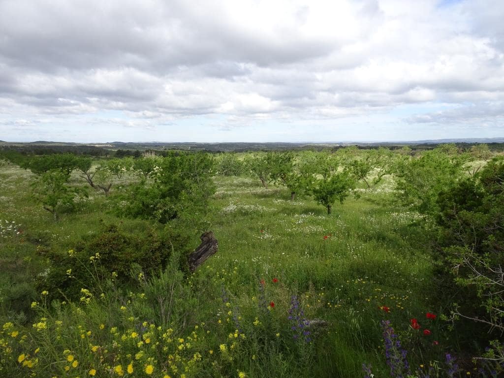 Finca/Country House for sale in Batea - € 18,000 (Ref: 9958432)