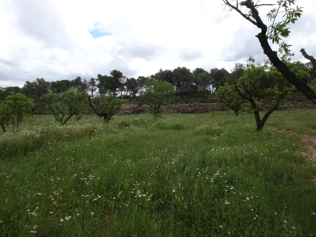 Finca/Country House for sale in Batea - € 18,000 (Ref: 9958432)