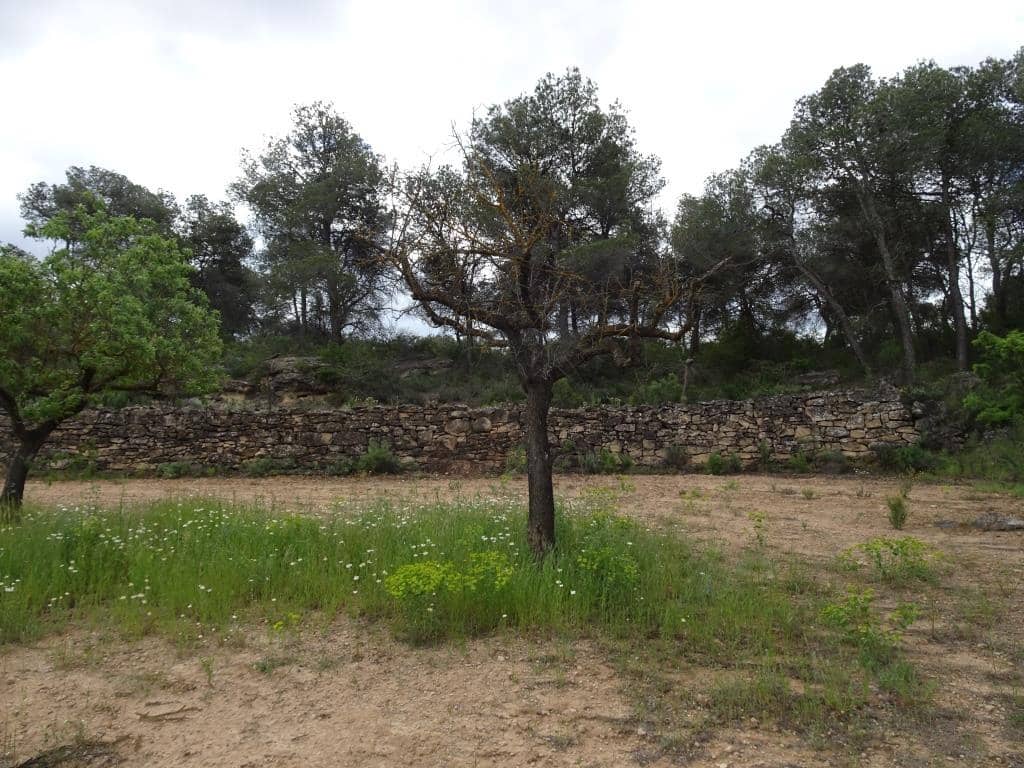 Finca/Country House for sale in Batea - € 18,000 (Ref: 9958432)
