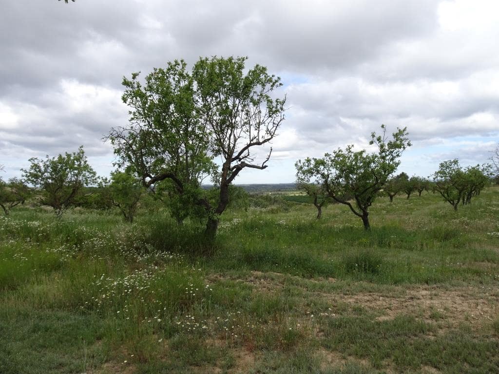 Finca/Country House for sale in Batea - € 18,000 (Ref: 9958432)