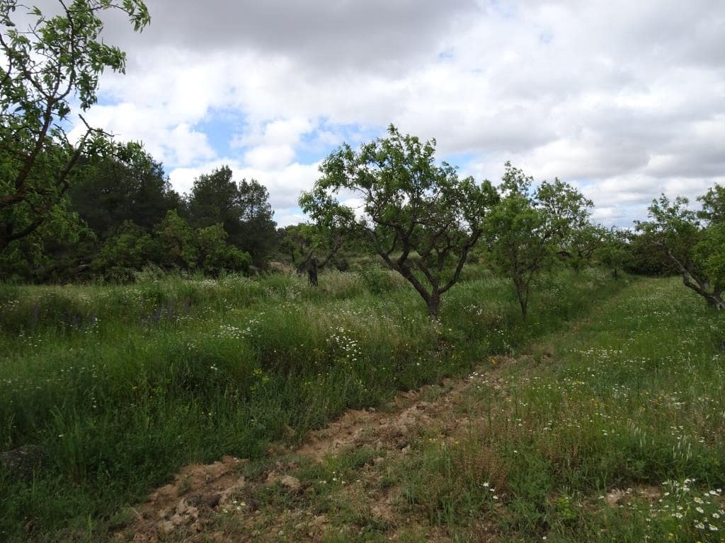 Finca/Country House for sale in Batea - € 18,000 (Ref: 9958432)