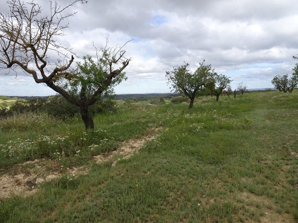 Finca/Country House for sale in Batea - € 18,000 (Ref: 9958432)