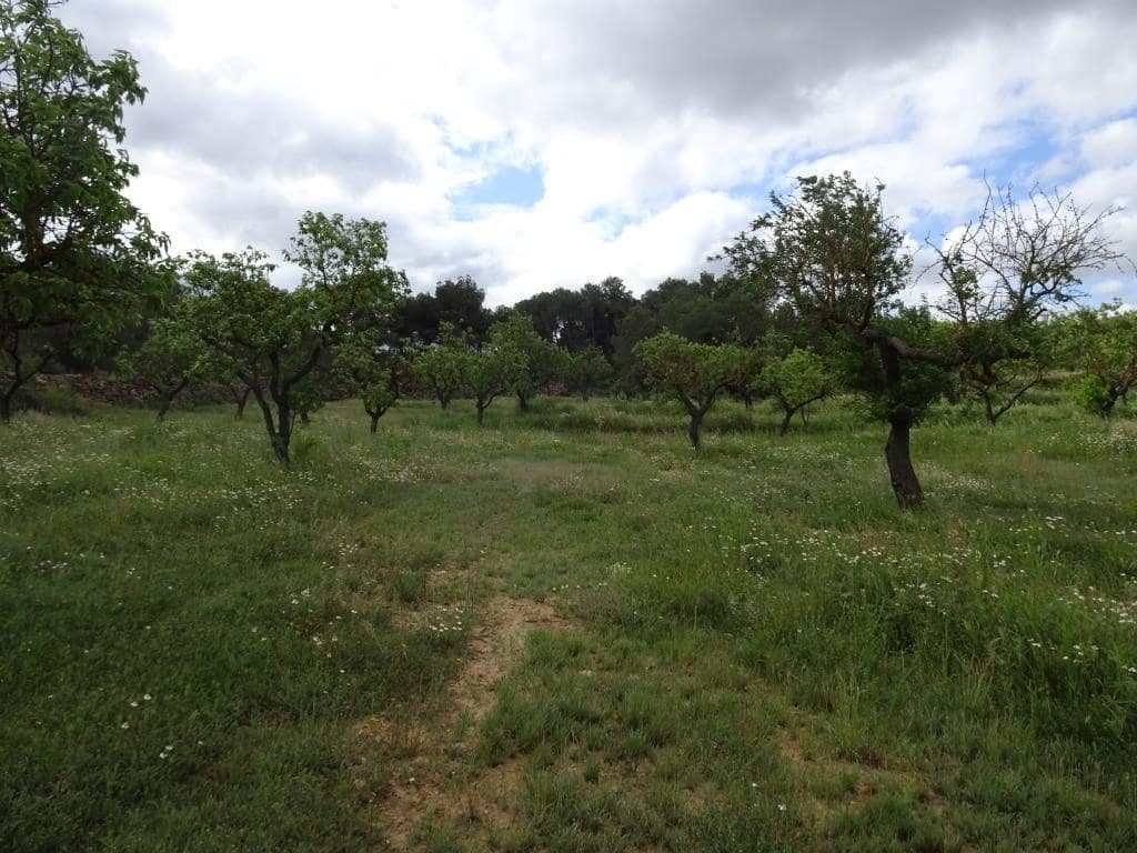 Finca/Country House for sale in Batea - € 18,000 (Ref: 9958432)