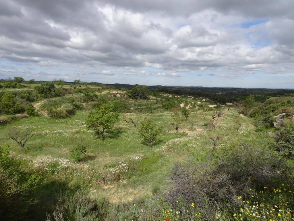 Finca/Country House for sale in Batea - € 18,000 (Ref: 9958432)