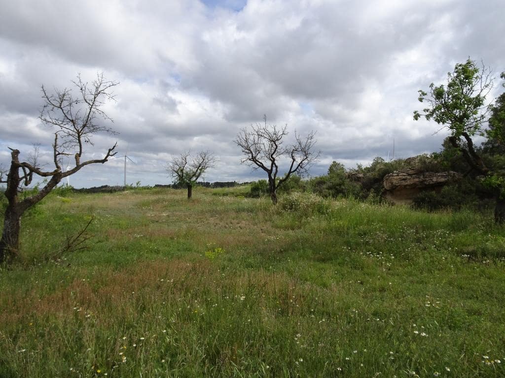 Finca/Country House for sale in Batea - € 18,000 (Ref: 9958432)