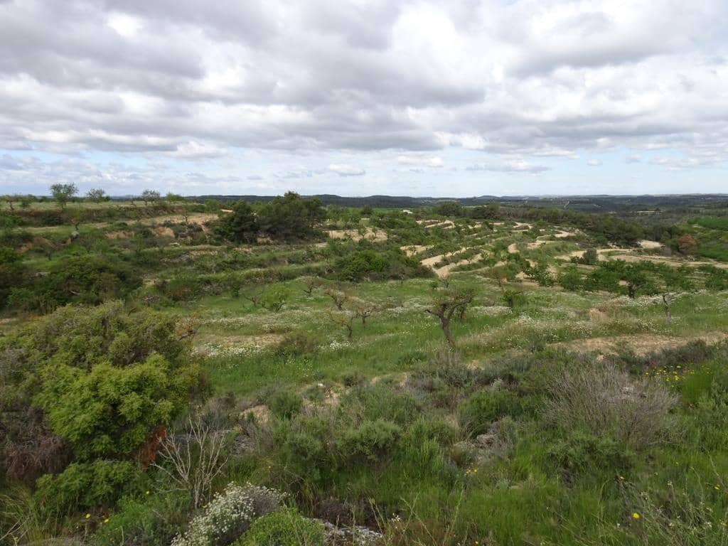 Finca/Country House for sale in Batea - € 18,000 (Ref: 9958432)