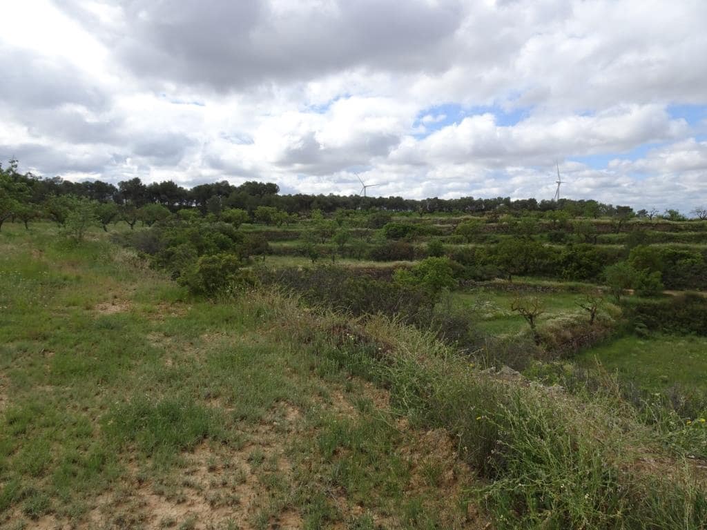 Finca/Country House for sale in Batea - € 18,000 (Ref: 9958432)