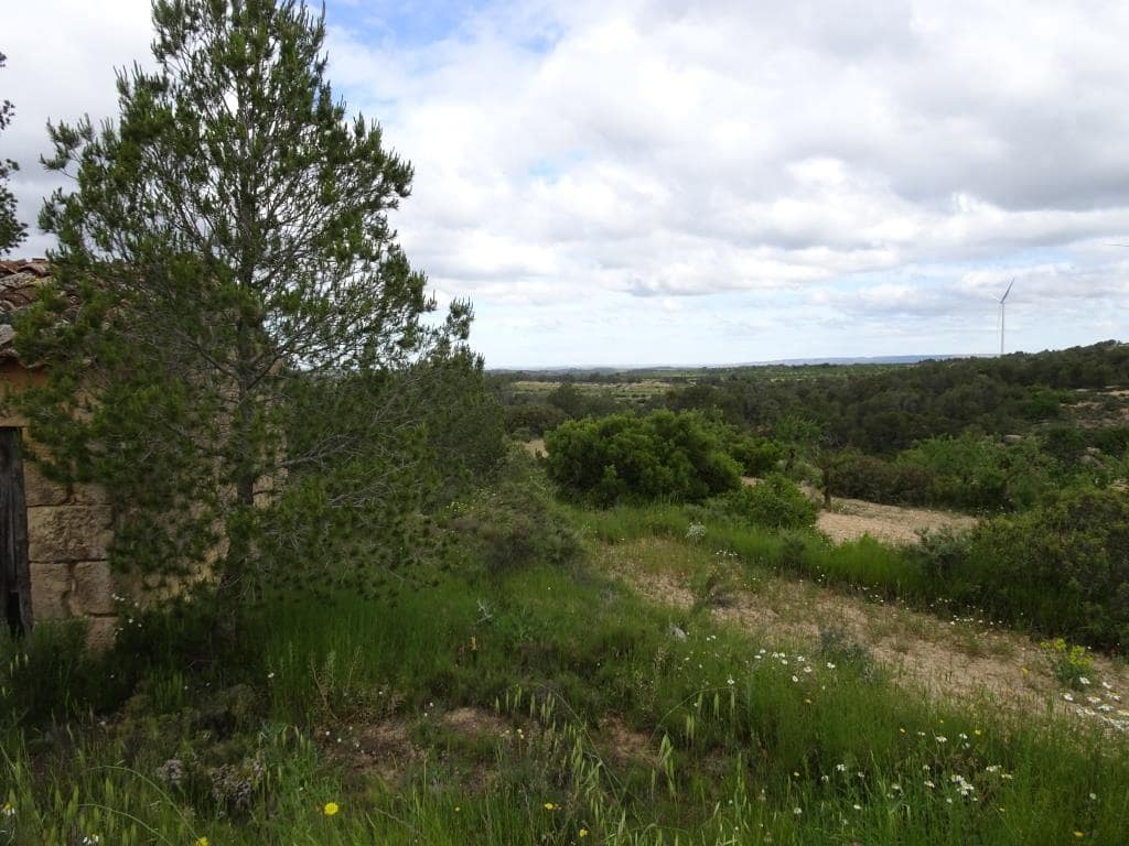 Finca/Country House for sale in Batea - € 18,000 (Ref: 9958432)