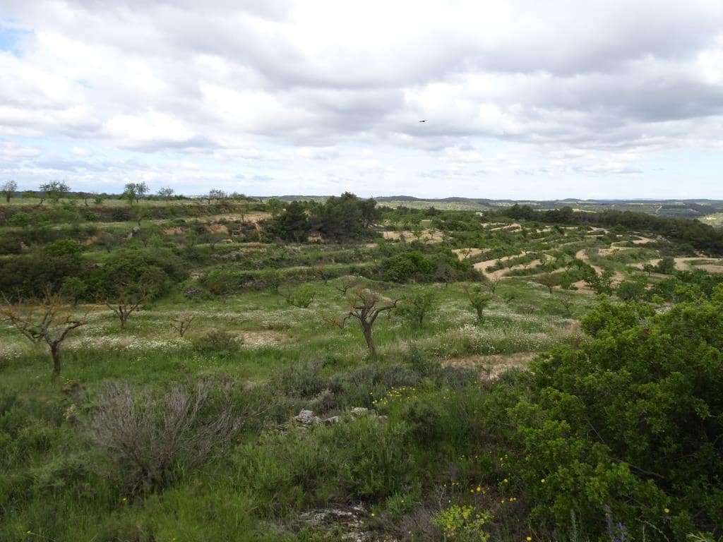 Finca/Country House for sale in Batea - € 18,000 (Ref: 9958432)