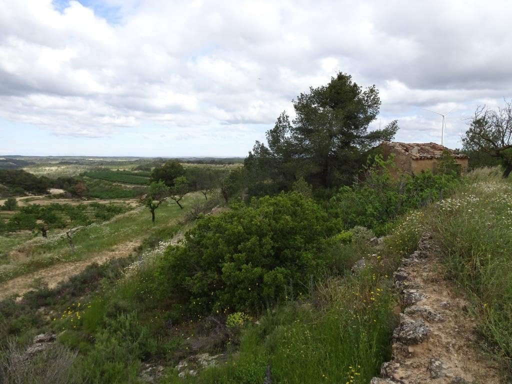 Finca/Country House for sale in Batea - € 18,000 (Ref: 9958432)