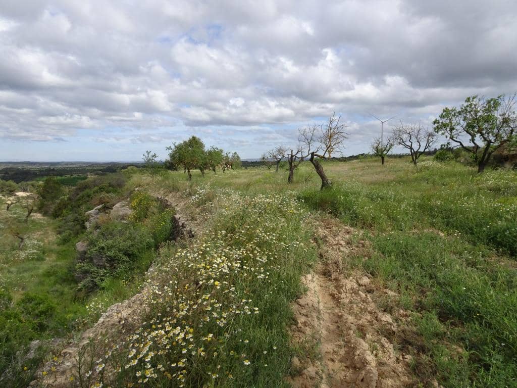 Finca/Country House for sale in Batea - € 18,000 (Ref: 9958432)