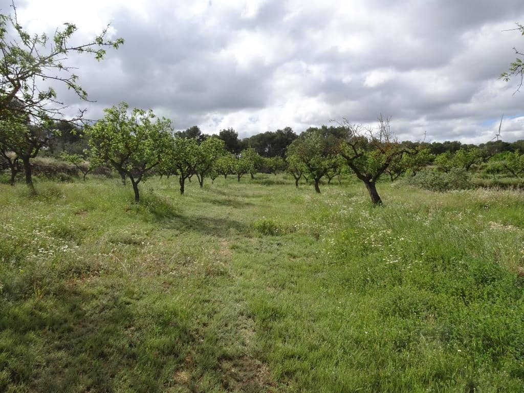 Finca/Country House for sale in Batea - € 18,000 (Ref: 9958432)