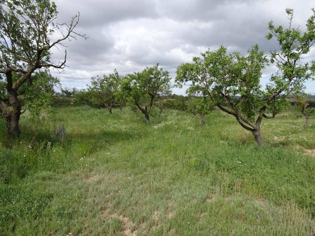 Finca/Country House for sale in Batea - € 18,000 (Ref: 9958432)