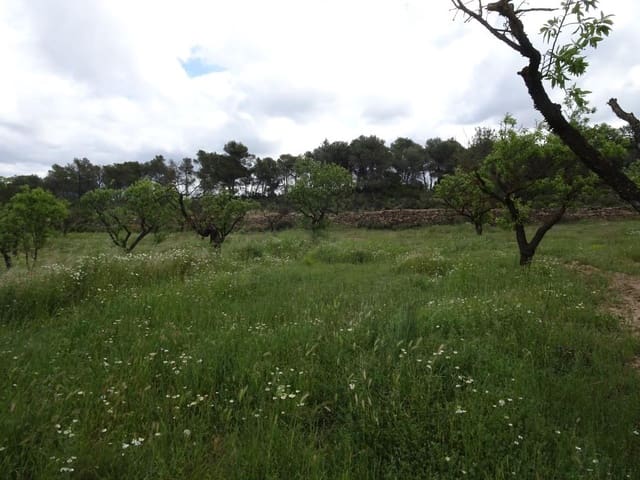 Finca/Herregård til salgs i Batea - € 18 000 (Ref: 9958432)