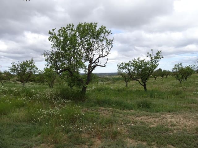 Finca/Herregård til salgs i Batea - € 18 000 (Ref: 9958432)