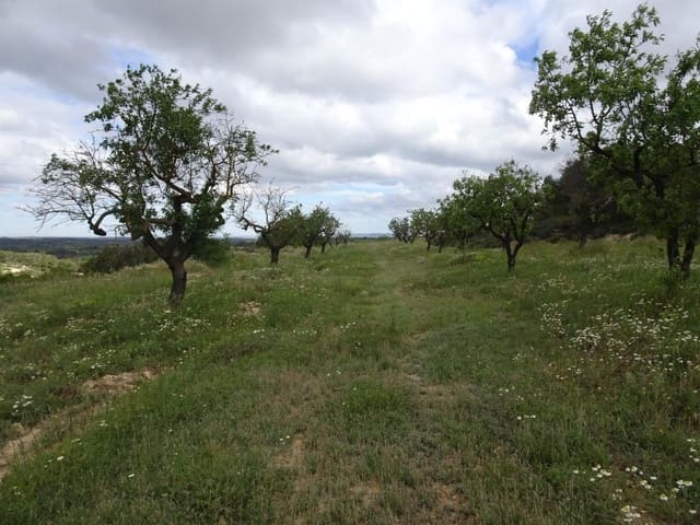 Finca/Herregård til salgs i Batea - € 18 000 (Ref: 9958432)