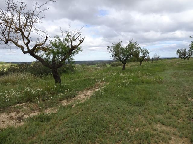 Finca/Herregård til salgs i Batea - € 18 000 (Ref: 9958432)