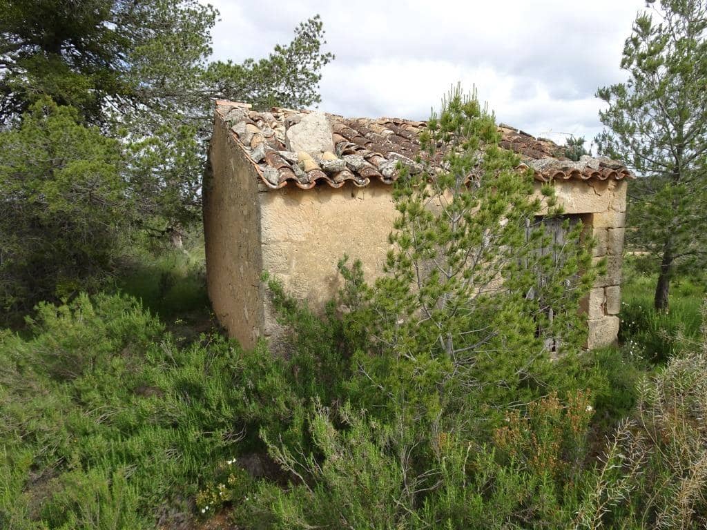 Finca/Country House for sale in Batea - € 18,000 (Ref: 9958432)