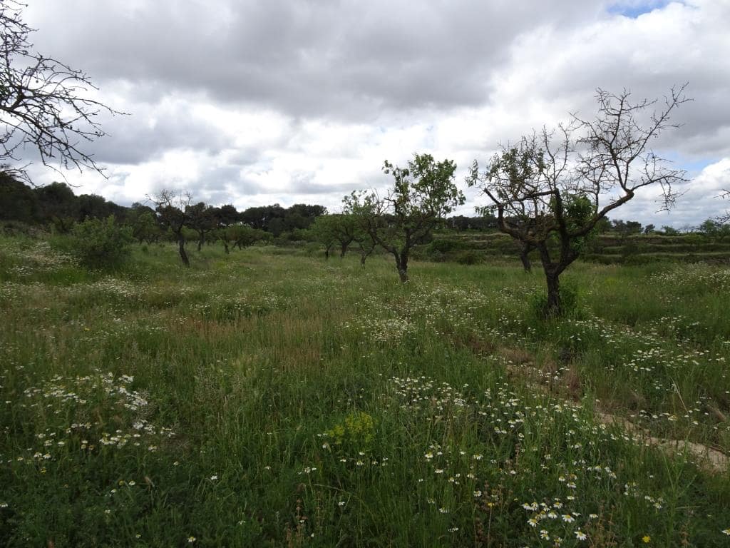 Finca/Country House for sale in Batea - € 18,000 (Ref: 9958432)
