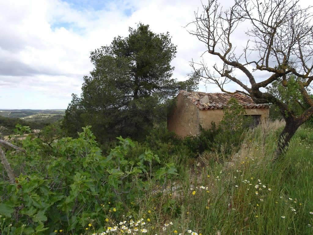Finca/Country House for sale in Batea - € 18,000 (Ref: 9958432)