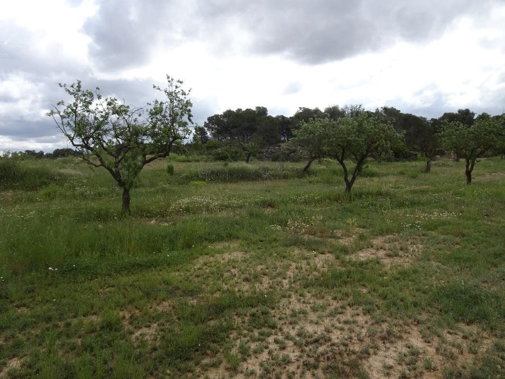 Finca/Country House for sale in Batea - € 18,000 (Ref: 9958432)