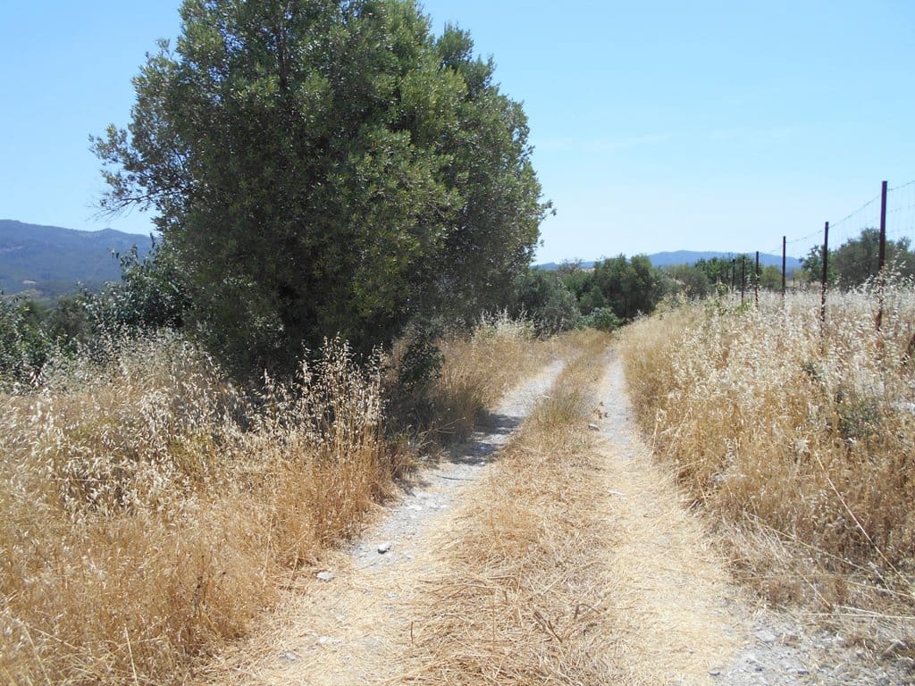 Finca/Casa di Campagna in vendita in Corbera d'Ebre - 24.000 € (Rif: 9958433)